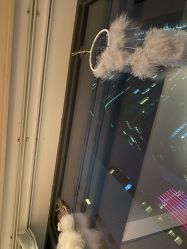 -哈颜科技轻美·