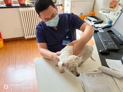 -北京观赏动物医院·24小时大型综合·猫专科·异宠专科
