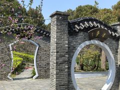 -南汇桃花村