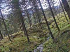 -硗碛藏寨·神木垒景区