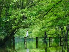 -西溪南古村落景区