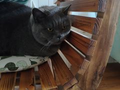 -Rabbit Cafe私房西餐甜点咖啡(栖霞路店)