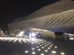-南京眼步行桥
