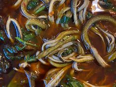 -乐山第一家临江鳝丝(茶坊路店)