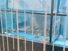 -王家渡火锅店(棕榈泉店)
