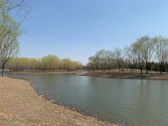 -东郊湿地公园