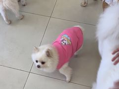 -怪兽屋·羊驼·猫咖·狗咖(俊华广场店)