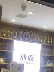 -心联形象设计·流星染