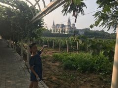 -北京张裕爱斐堡酒庄
