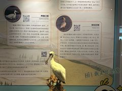 -台州博物馆