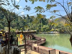 -西双版纳原始森林公园