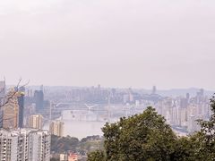 -南山植物园