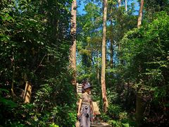 -水濂山森林公园