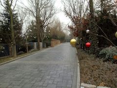 -芭东小镇温泉