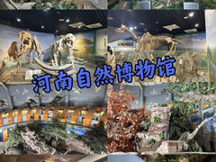-河南自然博物馆