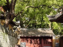 -普陀山风景名胜区-法雨禅寺