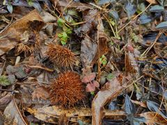 -宁波五龙潭景区