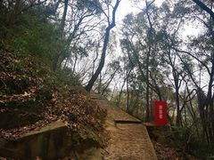 -上海佘山国家森林公园天马山园