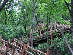 -大岭沟猕猴桃谷风景区