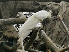 -长鹿旅游休博园