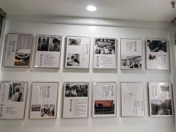 -镁连社·美联社
