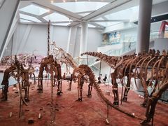 -重庆自然博物馆(新馆)