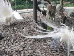 -广州长隆欢乐世界