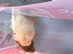 -红菜坊·烤鸭·川鲁宴(石园店)