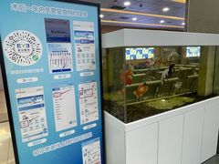 -武汉大学附属爱尔眼科医院(湖北总院)