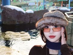-海合安武汉极地海洋公园
