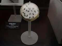 -河姆渡遗址博物馆