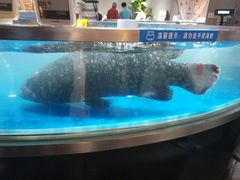 -盒马鲜生(杭州运河上街店)