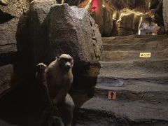 -游龙石文化科普馆