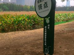 -艾溪湖湿地公园