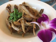 -山明水秀大饭店