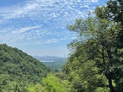 -韬光茶庵