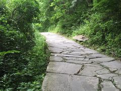 -少华山国家森林公园