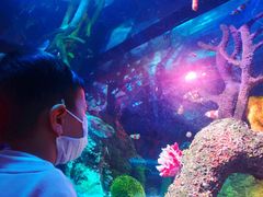 -沈阳海洋探索中心