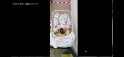 -明宇集团·积木枝芽母婴健康管理中心(天府店)
