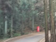 -山王坪喀斯特国家生态公园