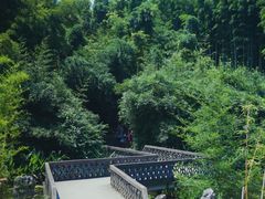 -杭州植物园