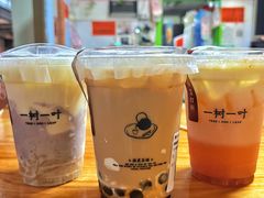 -一树一叶·福建茶档(石鼓路店)