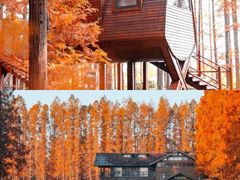 -黄海国家森林公园