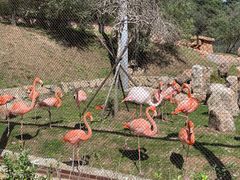 -沈阳森林动物园