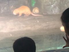 -泉城欧乐堡海洋极地世界