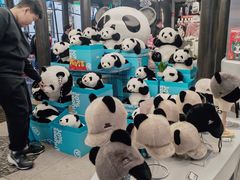 -熊猫屋(宽窄巷子景区店)