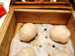 -添好运(武商MALL店)