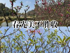 -南国桃园旅游度假区