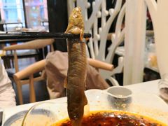 -情妹妹干锅锅(中海国际购物公园店)