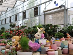 -三圣花乡旅游区